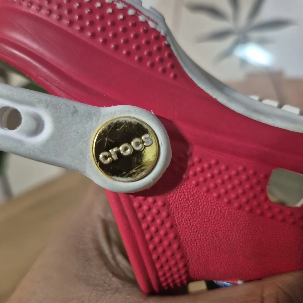 Sonic Crocs with Charms